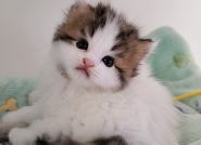 �C���[�W04