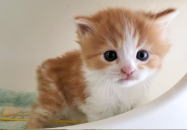 �C���[�W04