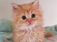 �C���[�W03