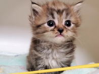 �C���[�W03