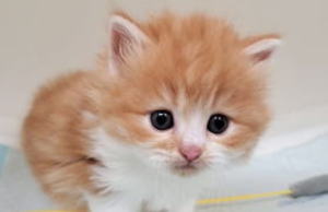 �C���[�W04