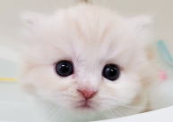 �C���[�W04