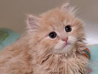 �C���[�W03