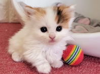 �C���[�W04