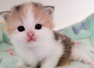 �C���[�W04