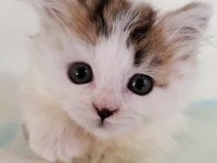 �C���[�W03