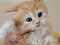 �C���[�W02