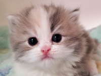 �C���[�W03